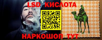 шишки Обнинск