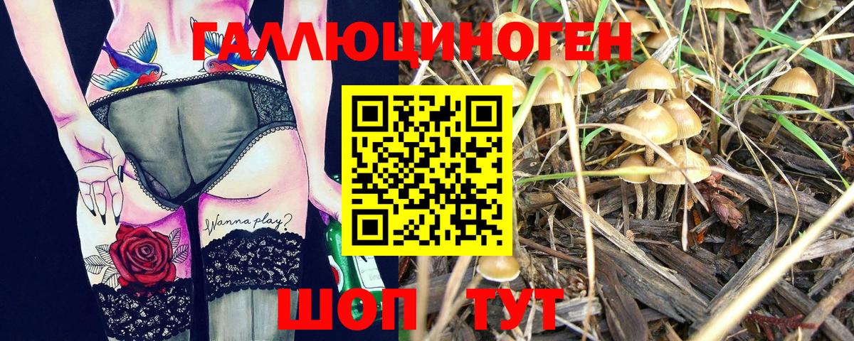 Псилоцибиновые грибы мухоморы Сергиев Посад