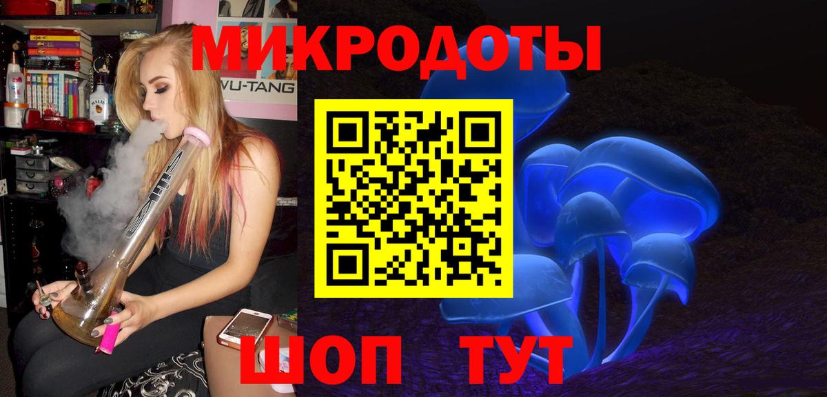 Псилоцибиновые грибы Psilocybine cubensis  Вход с VPN  Псилоцибиновые грибы прущие грибы  Сергиев Посад 